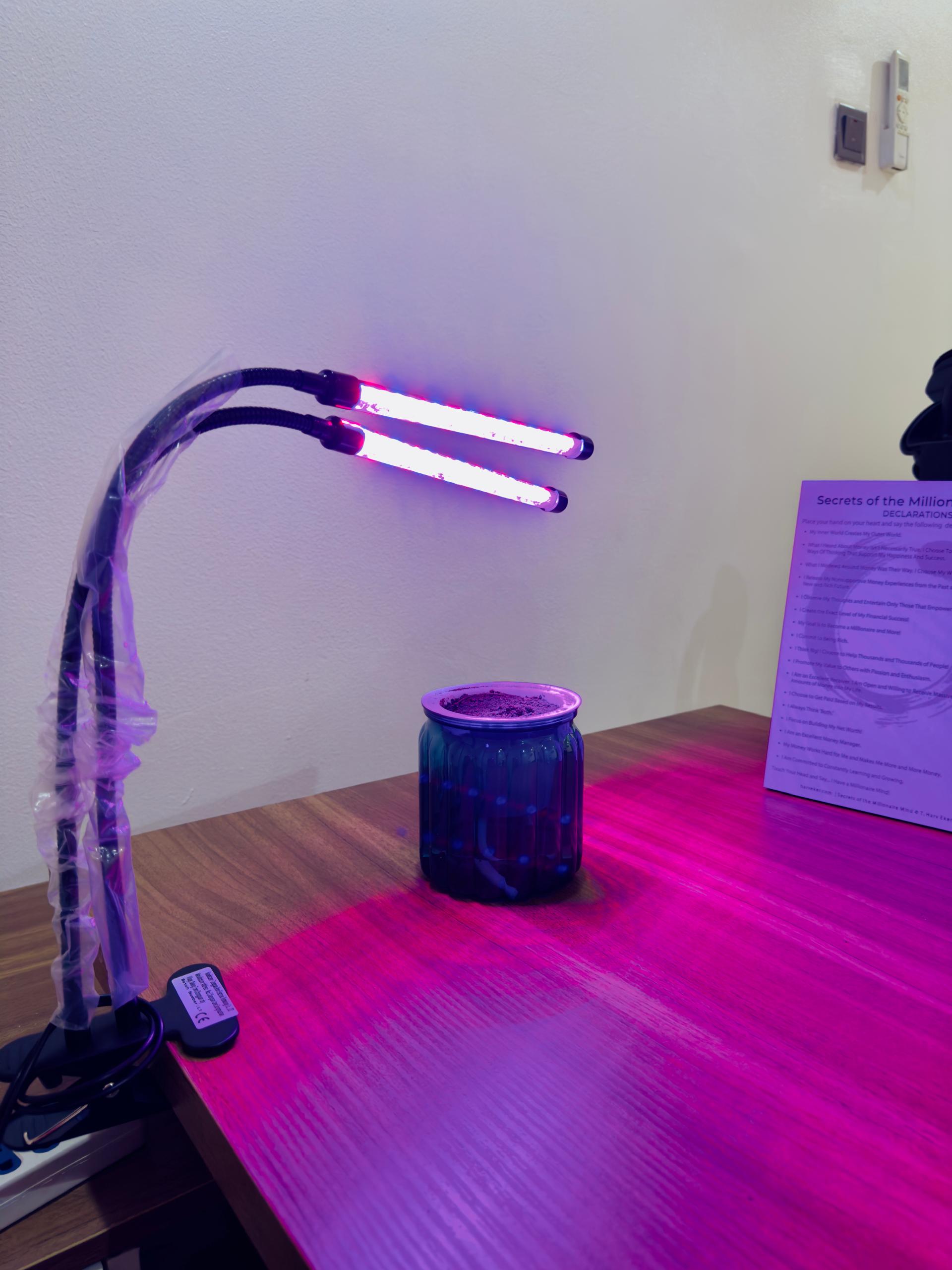 2 in 1 grow light